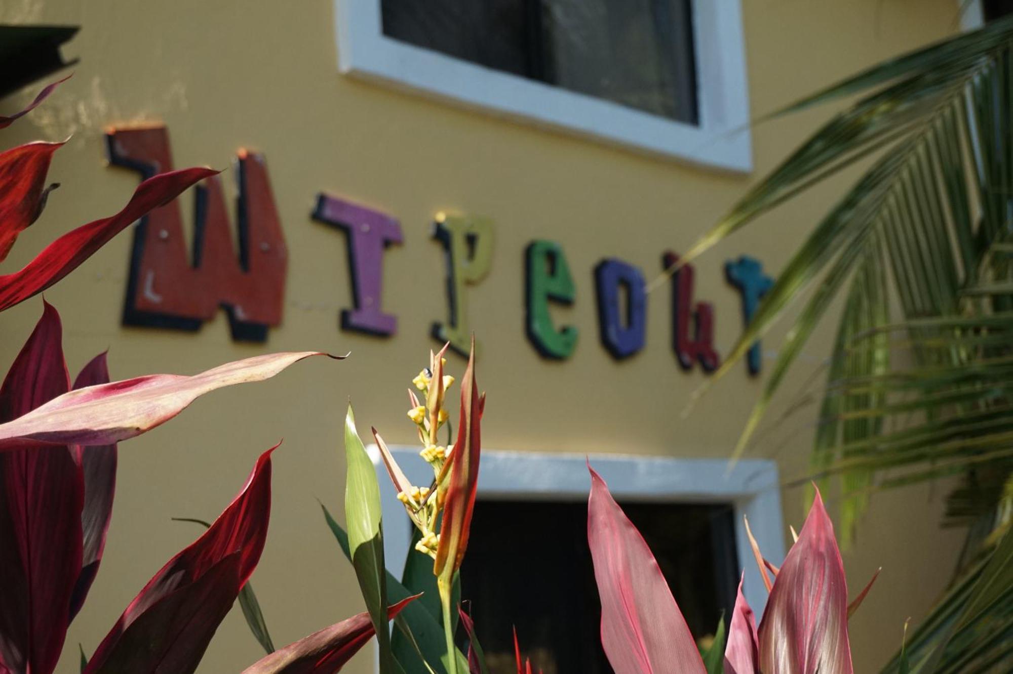 Wipeout Hostel Jacó Extérieur photo